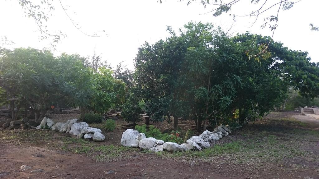 Cucuve Eco Hostal Puerto Baquerizo Moreno Ngoại thất bức ảnh
